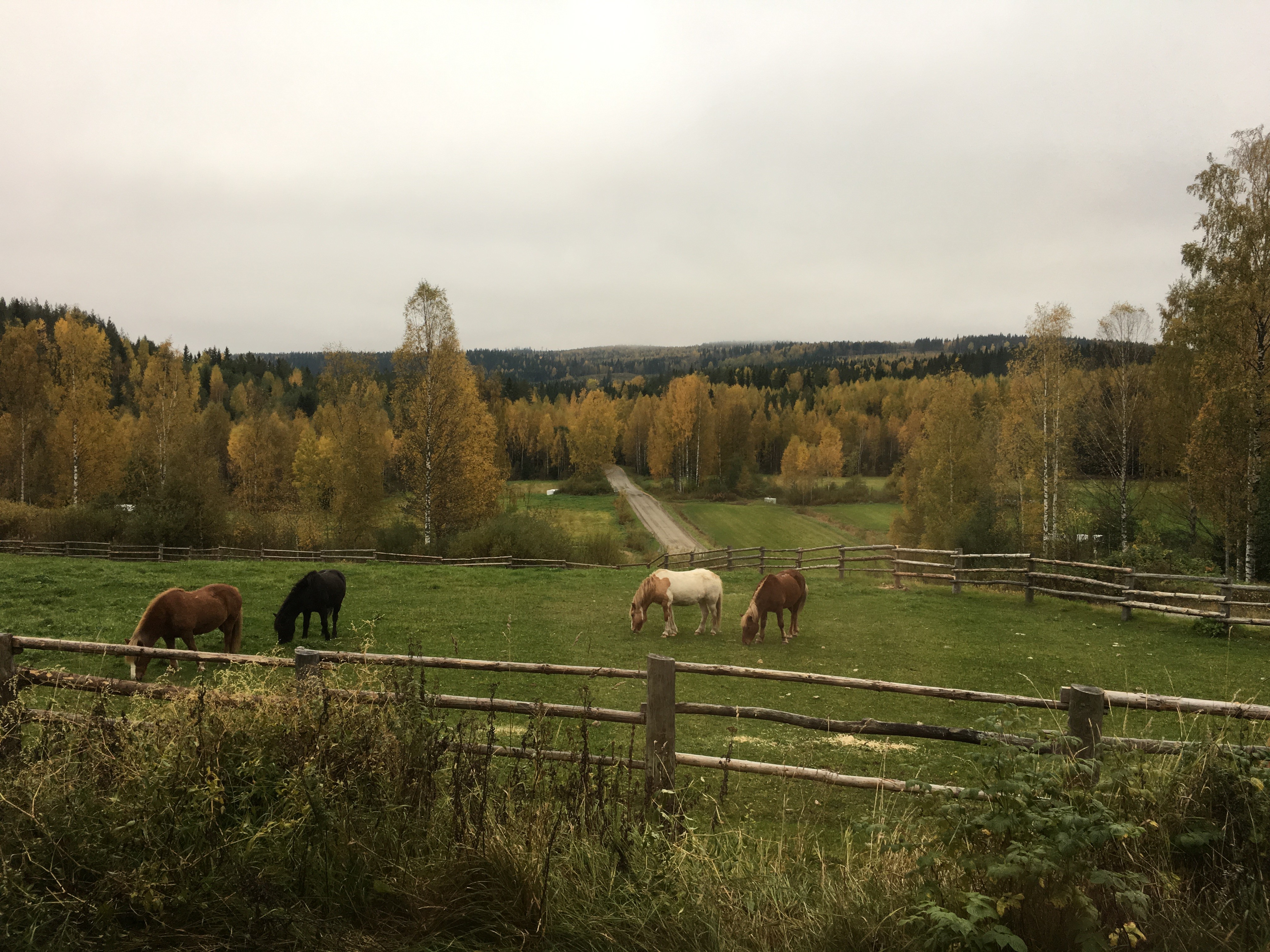 Kestävyysmurroksen marginaalit -teemajulkaisusarja