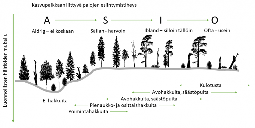 Metsänhoitomalleja kuvaava kaavio kasvupaikkaan liittyvien palojen esiintymistiheydestä