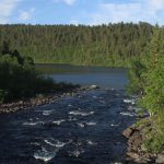 Virtaava joki metsän ympäröimänä.